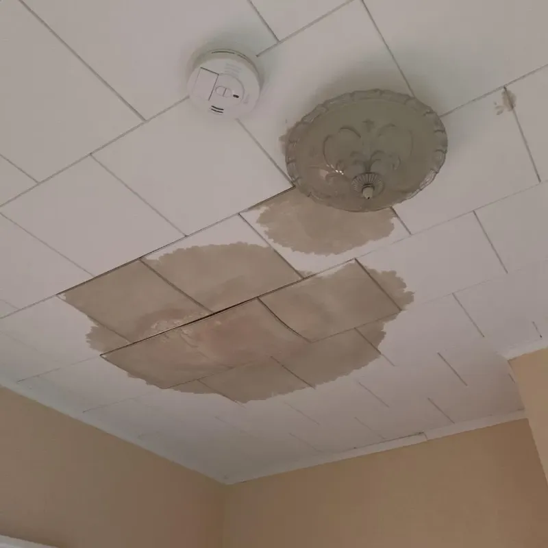 Ceiling Water Damage Repair in Cochituate, MA