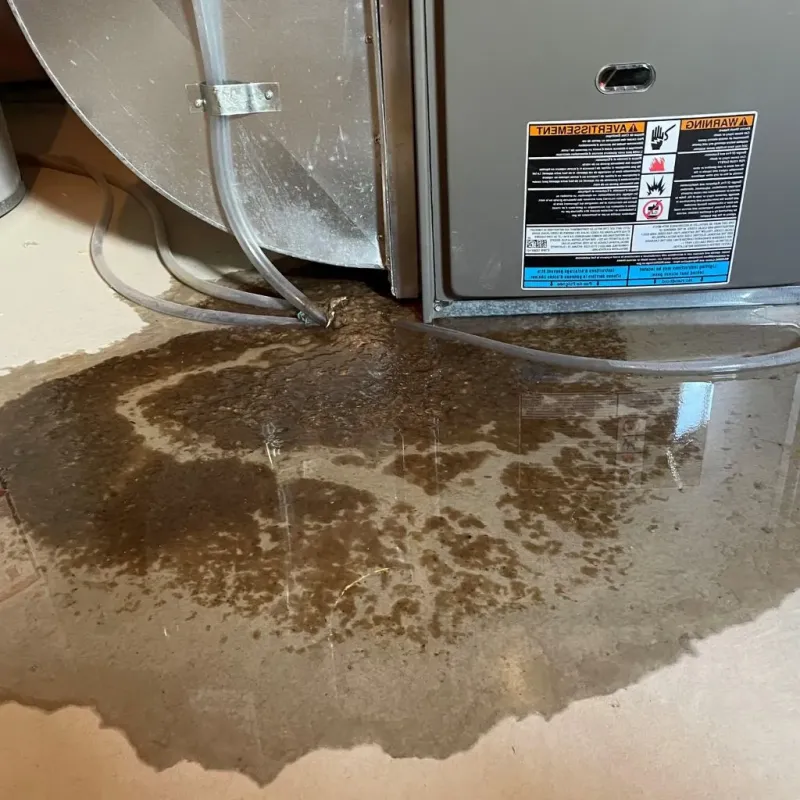 Pipe Burst and Leak Restoration in Cochituate, MA